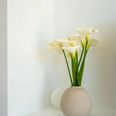 Blue Ericeira - Surf&family